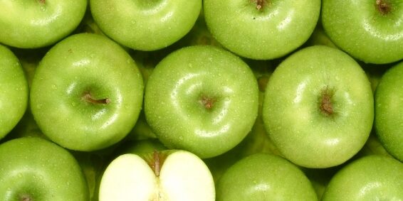 istock_000004365588small istock_000004365588small