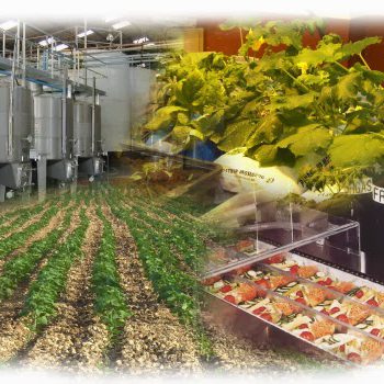 portada_agroalimentaria