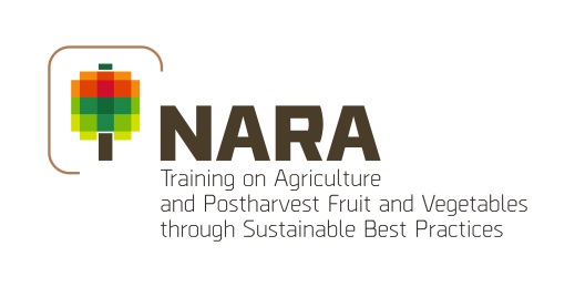 logo_nara logo_nara