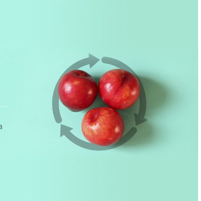 banner-sector-alimentario