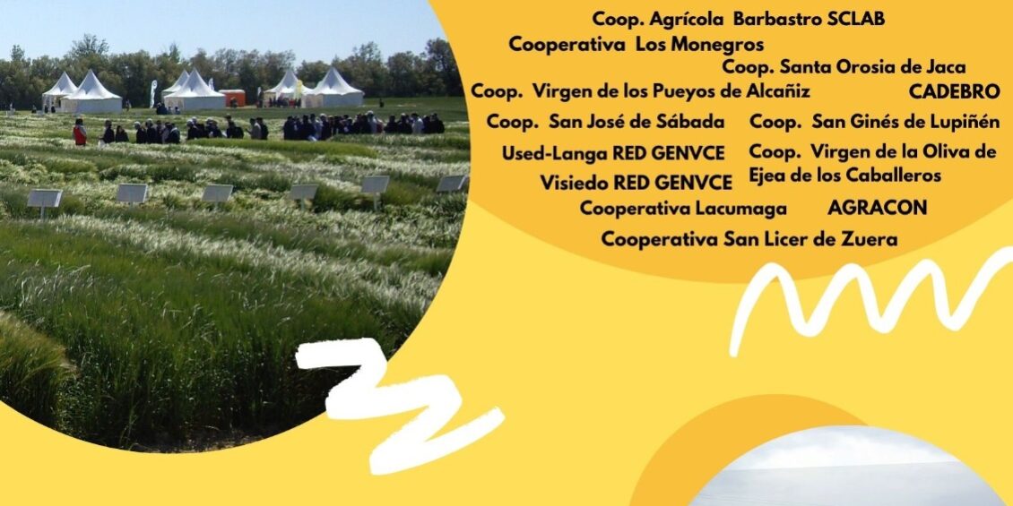 cartel_jornadas_red_arax cartel_jornadas_red_arax