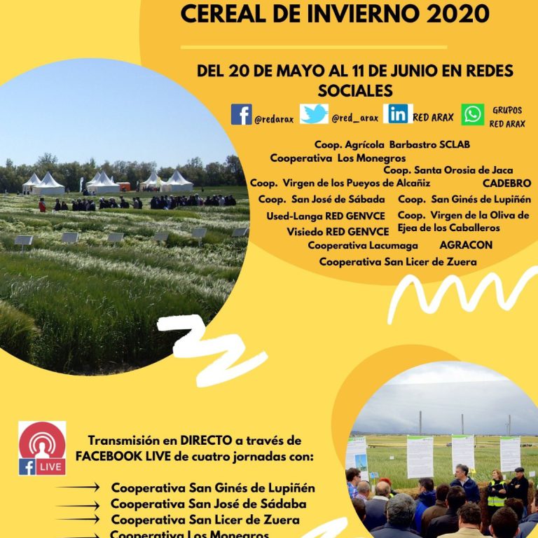 cartel_jornadas_red_arax cartel_jornadas_red_arax