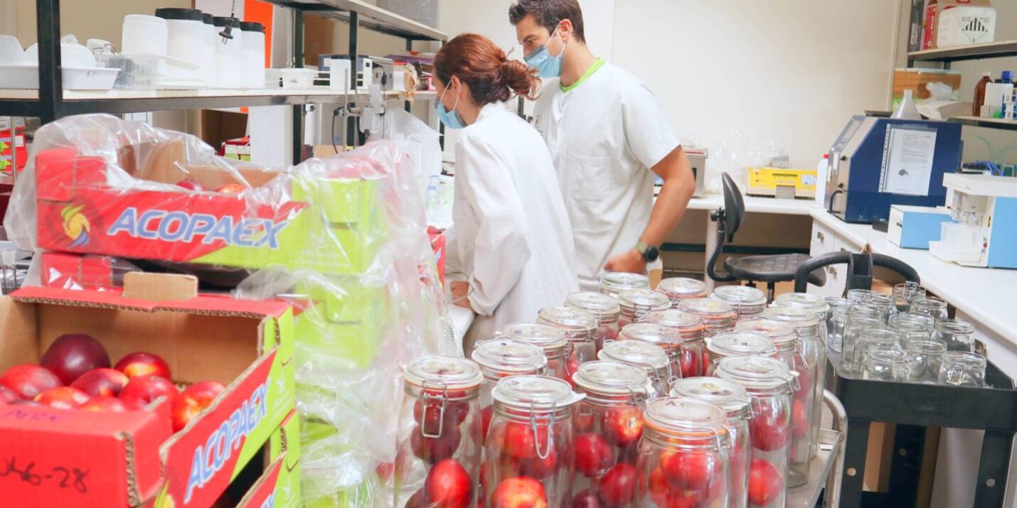 img_3882_edit img_3882_edit