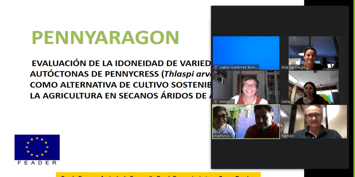 pantallazo_reunion_inicial_pennyaragon