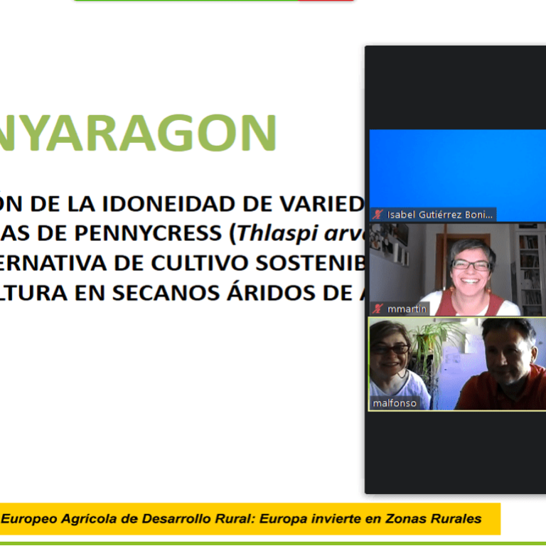 pantallazo_reunion_inicial_pennyaragon