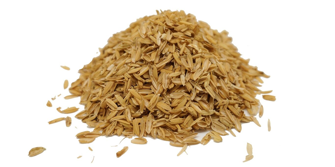 cascarilla cascarilla