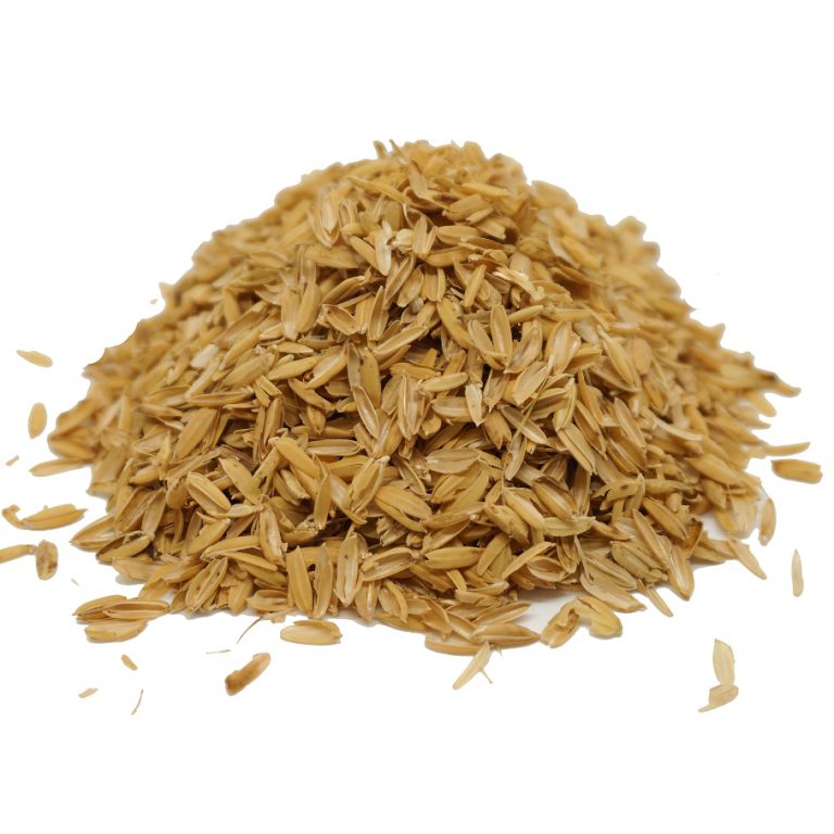 cascarilla cascarilla