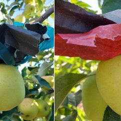 screenshot_2 screenshot_2