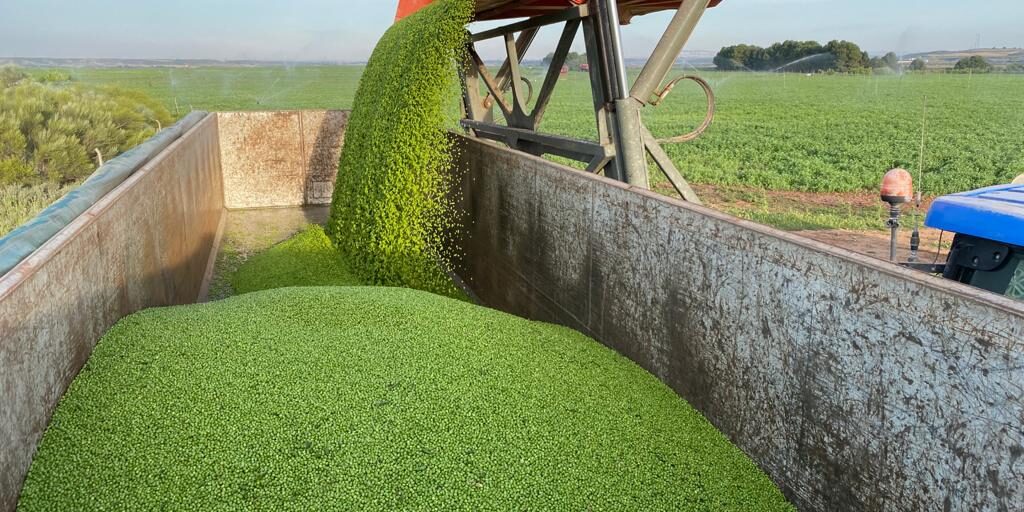 img-20200930-wa0009 img-20200930-wa0009