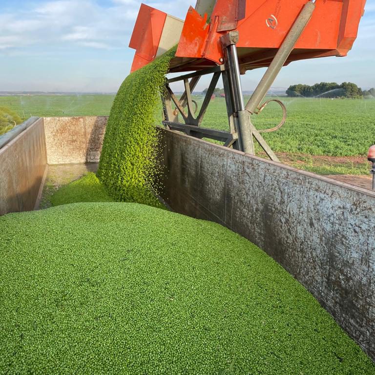 img-20200930-wa0009 img-20200930-wa0009