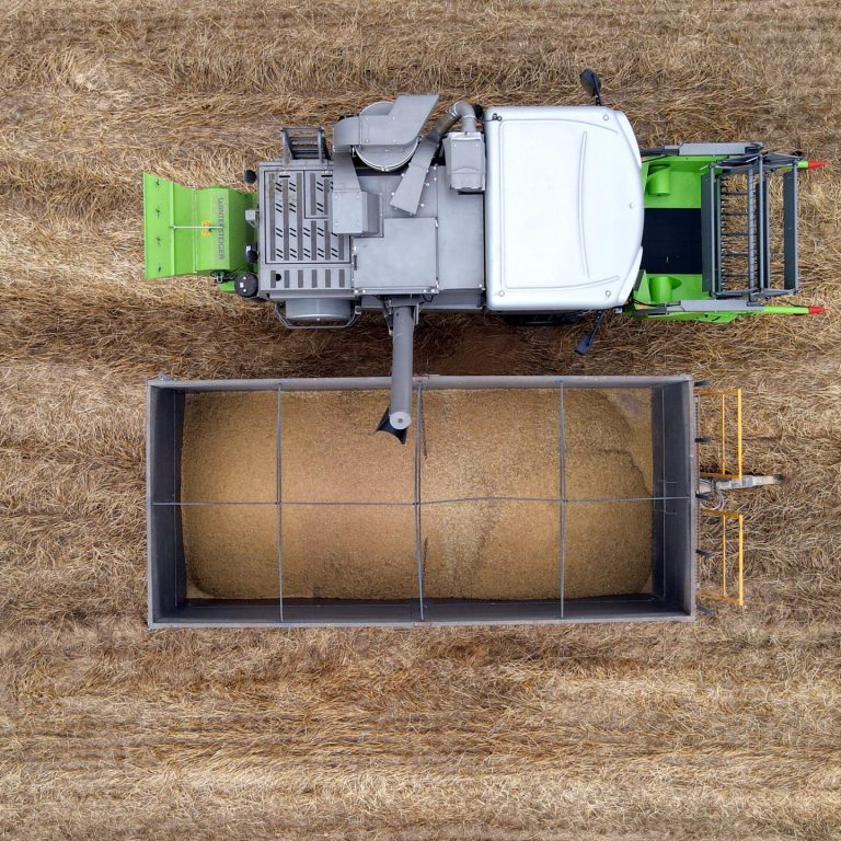 descaraga_cosecha_sarinena_huesca