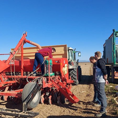 SIEMBRA-2022-ECOPEAS-II-web