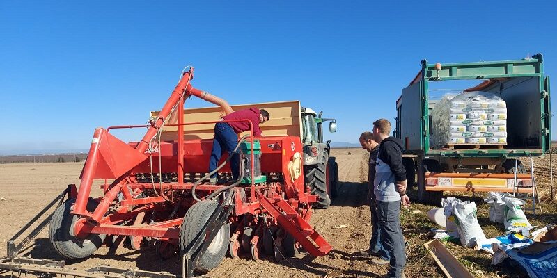 SIEMBRA-2022-ECOPEAS-II-web