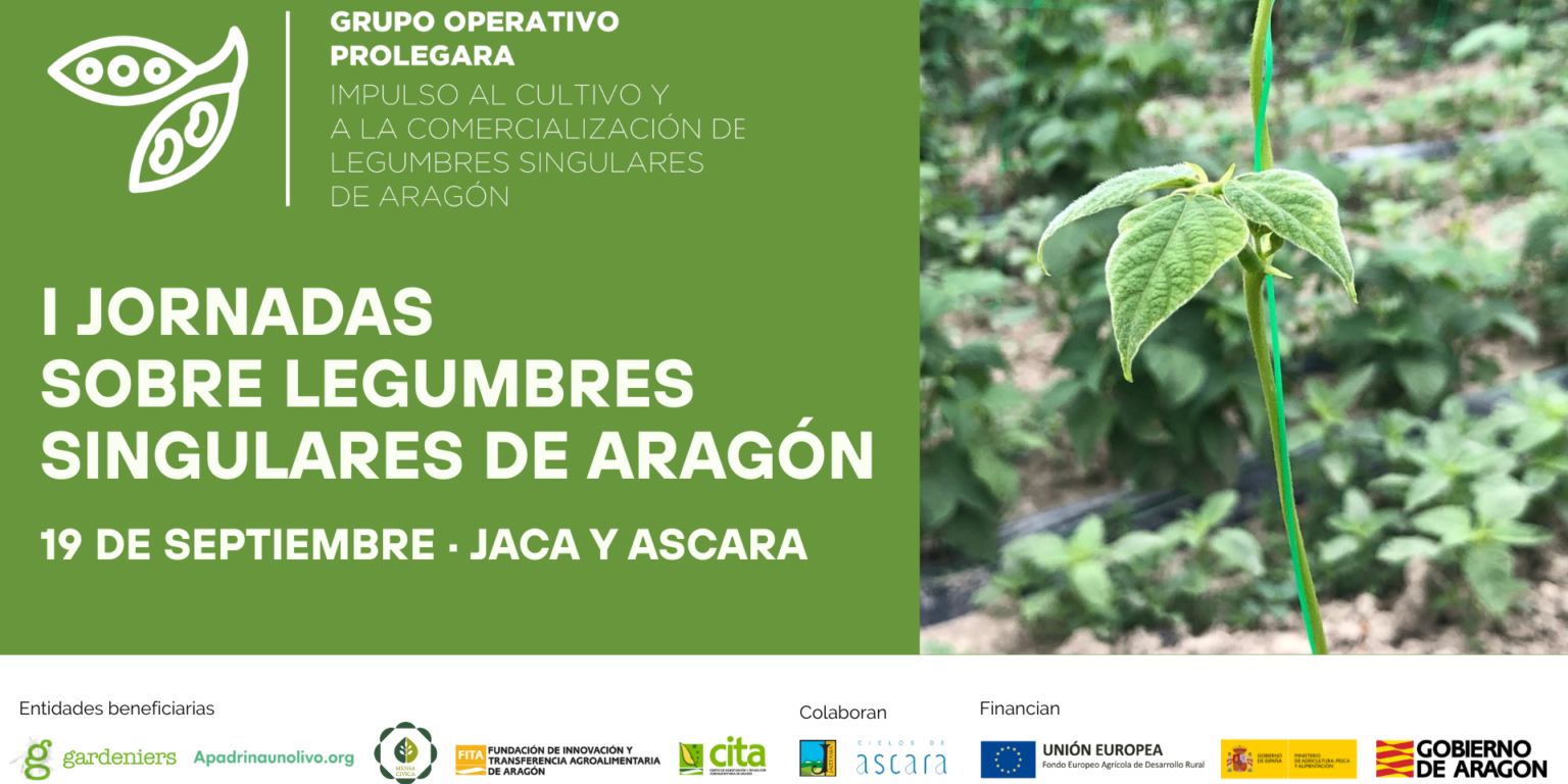 PROLEGARA-3-1536×856