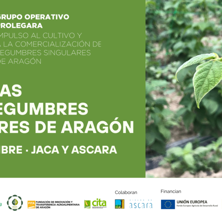 PROLEGARA-3-1536×856