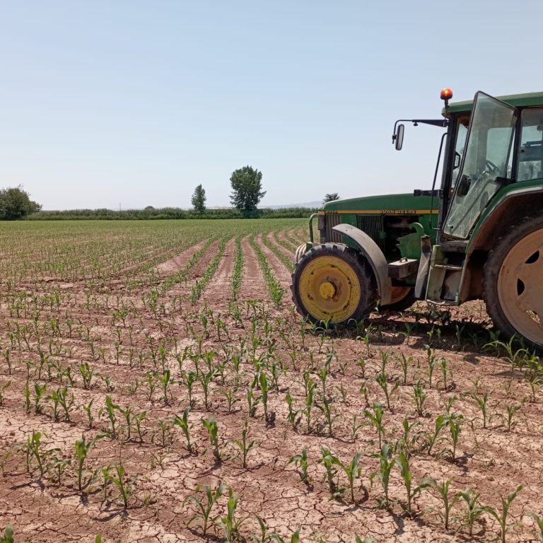 WhatsApp Image 2025-05-30 at 14.45.40