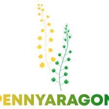 PennyAragon_logo_pie