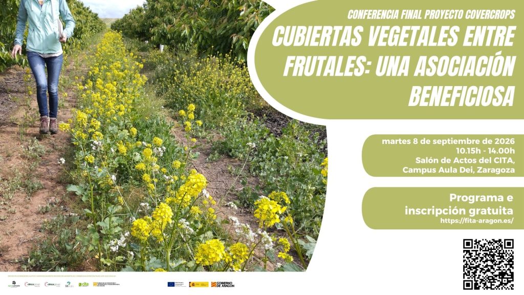 Cubiertas vegetales entre frutales: una asociación beneficiosa